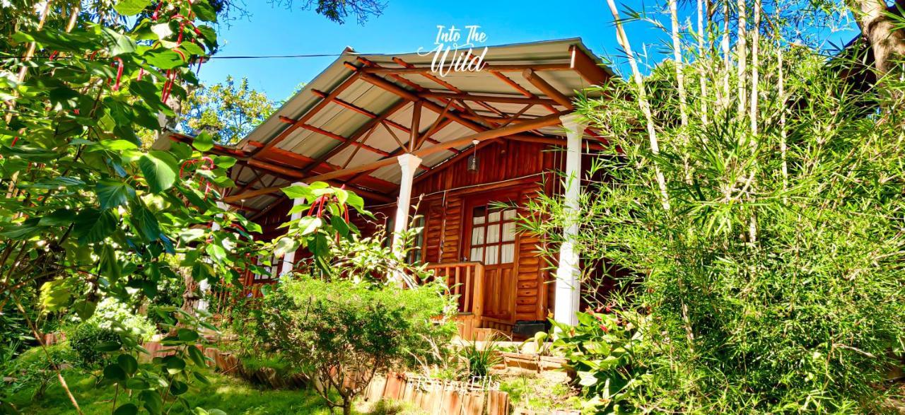 Little Folly Hotel Ella Ngoại thất bức ảnh
