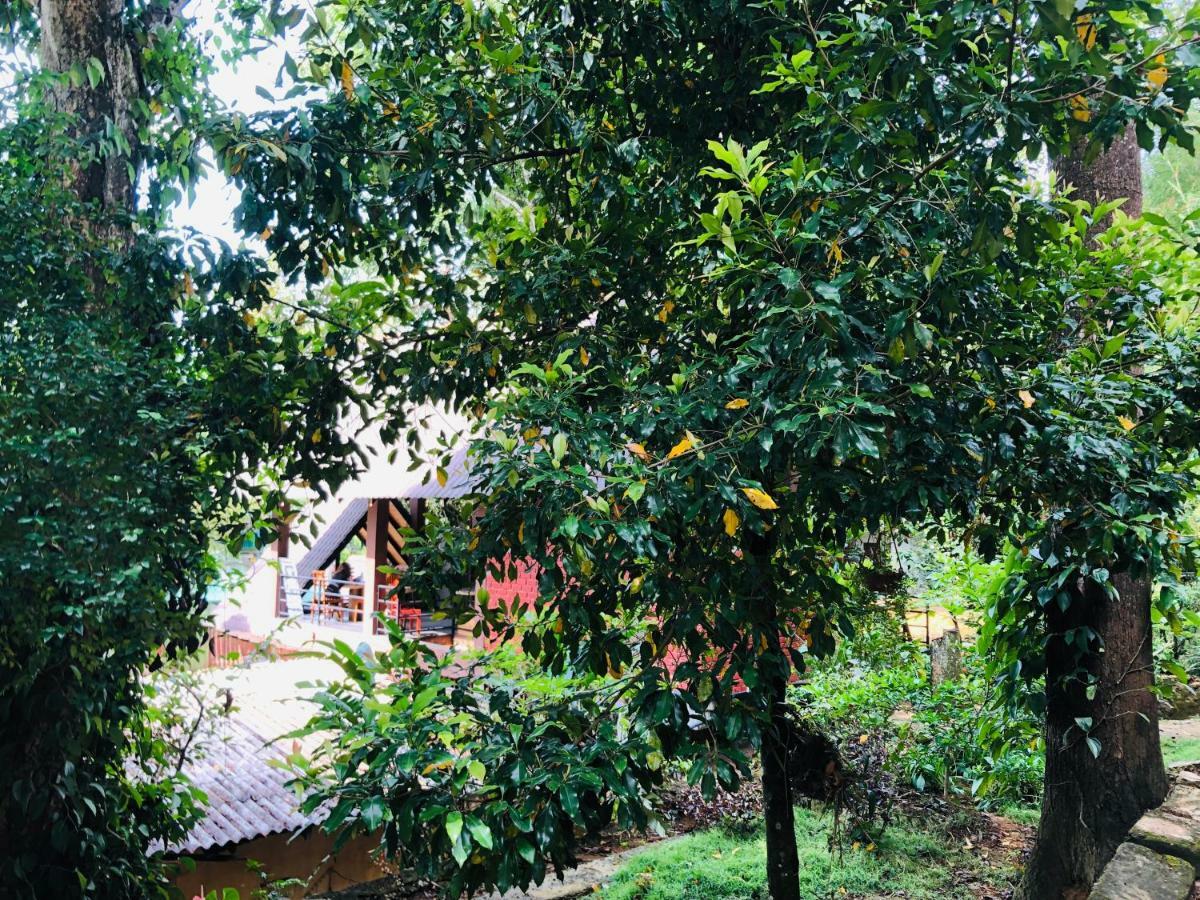Little Folly Hotel Ella Ngoại thất bức ảnh